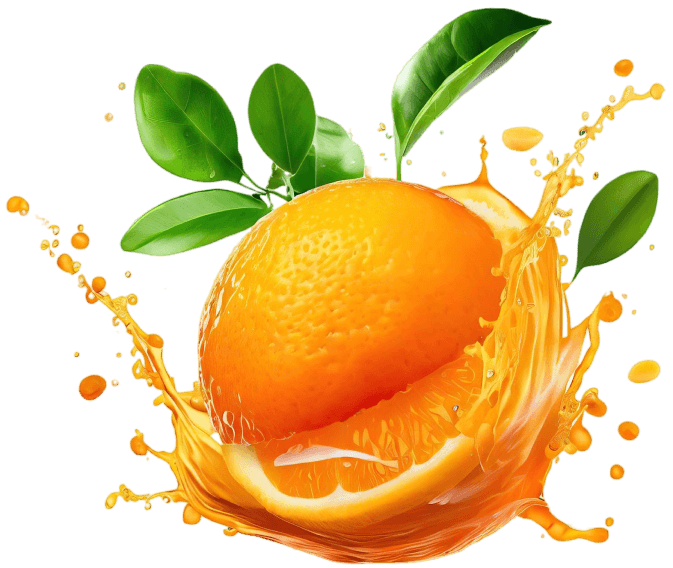 Image-ss3-h5 Image-ss3-h5