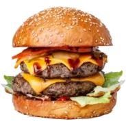 menu-burger-img9 menu-burger-img9